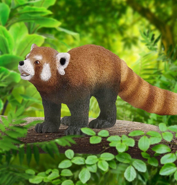 The red panda from Schleich has a tic striped tail, red brown fur and powerful paws with sharp claws. The red panda is a mammal that lives in the eastern Himalayas and south west China. Size 9 cm x 5 cm x 2.5 cm  Recommended age 3-8 years 
