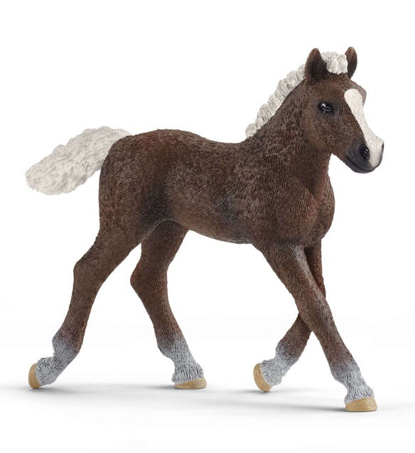 The Black Forest Foal has a dark chestnut coloured coat with a short mane and tail. Dimensions length 9 cm , height 8 cm , width 3 cm 