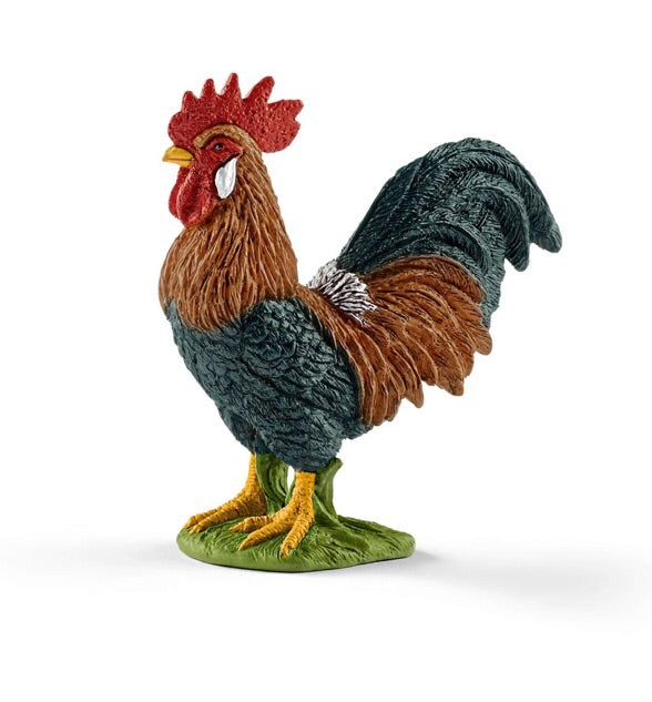 All fowls have a crest on their head. It consists of a flap of skin and is particularly large. size height 6 cm,  length 6 cm , width 3 cm  Recommended age 3-8 years 