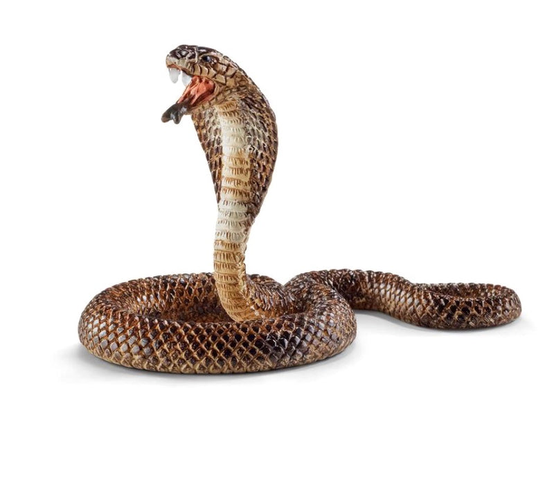 Schleich Wild Life  - Cobra