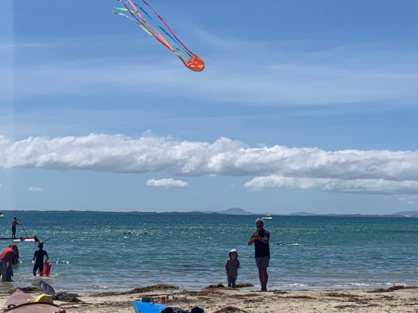 Windspeed Kites  - Jellyfish