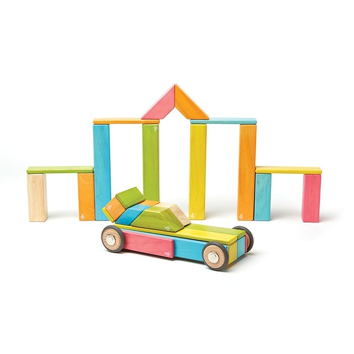 Tegu - Magnetic Wooden Blocks 42 pieces, Classic