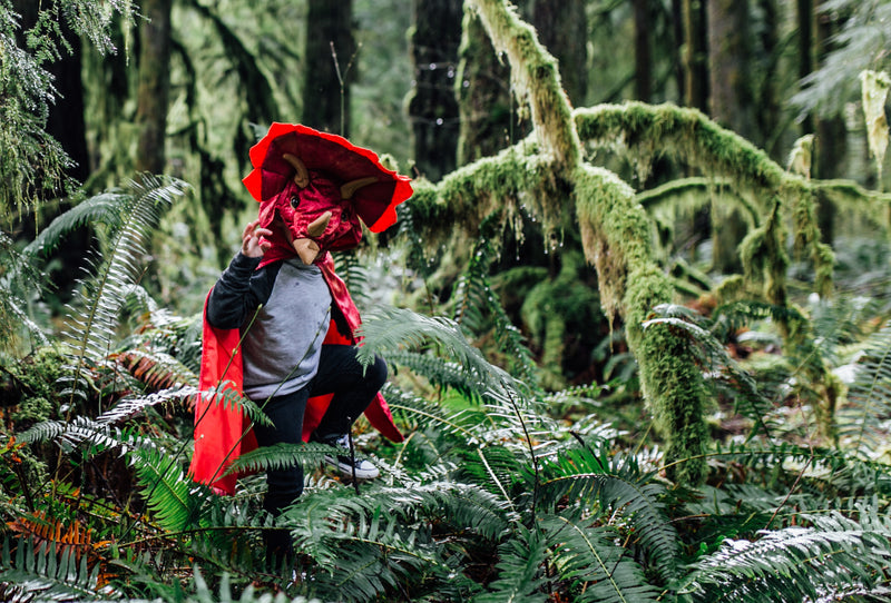 a kid exploring outside with his dinosaur cape costume in red 