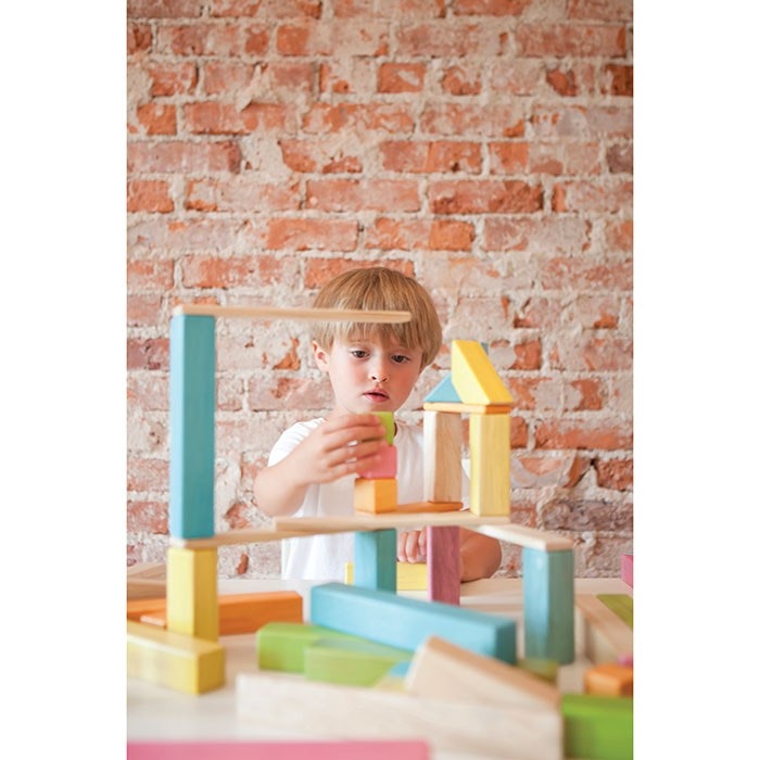 Tegu - Magnetic Wooden Blocks 24 Piece Tints in multi coloured prints