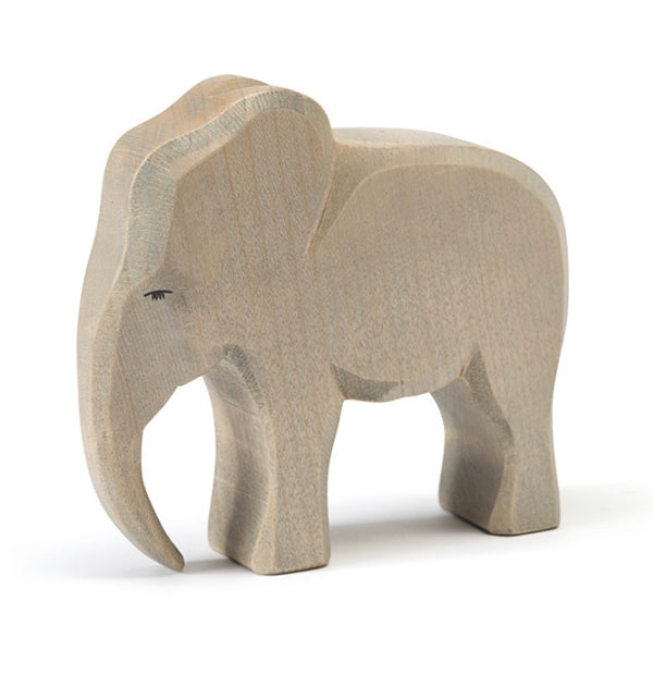 Ostheimer - Elephant Male