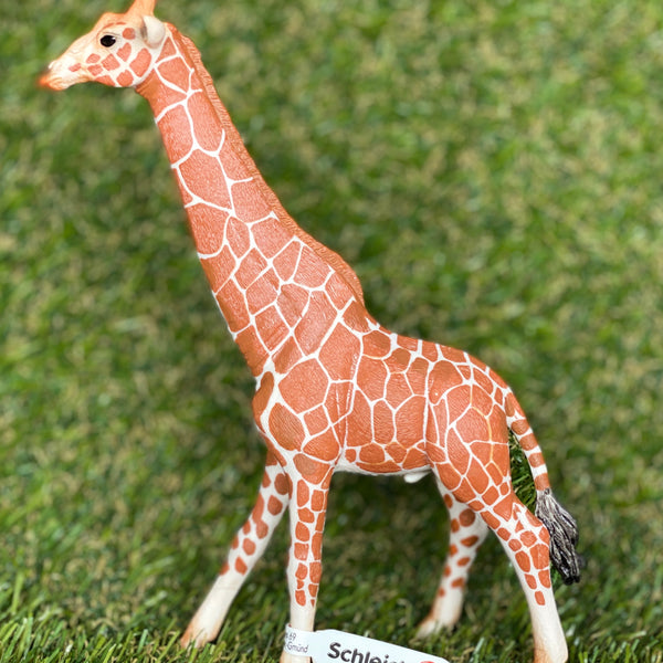 Schleich baby best sale giraffe