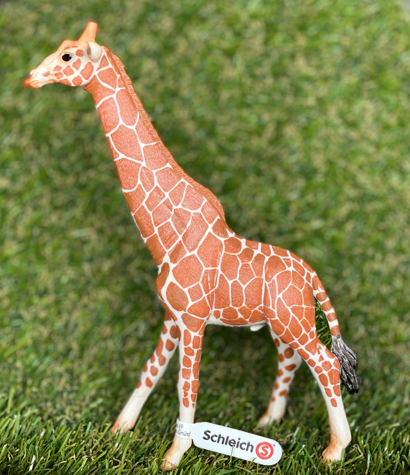 Schleich Wild Life - Giraffe Male