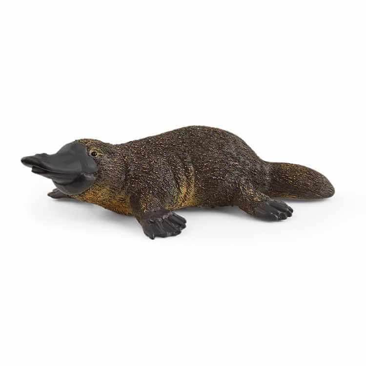 Schleich Wild Life - Platypus