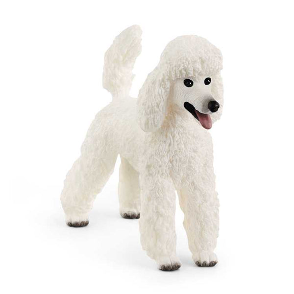 Schleich Dogs - Poodle