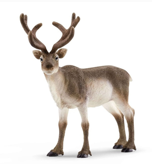 Schleich Wild Life - Reindeer