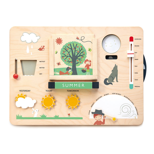 Tender Leaf Toys - Weather Station