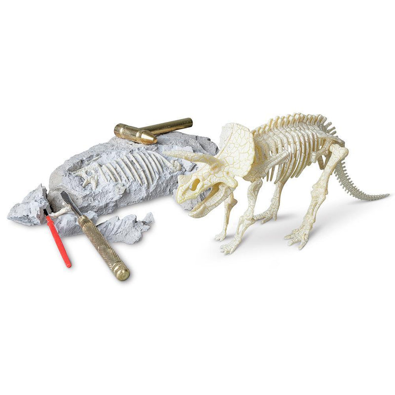 heebie jeebies science palaeontology research kit for children's stem and steam learning dinosaur excavation activity triceratops