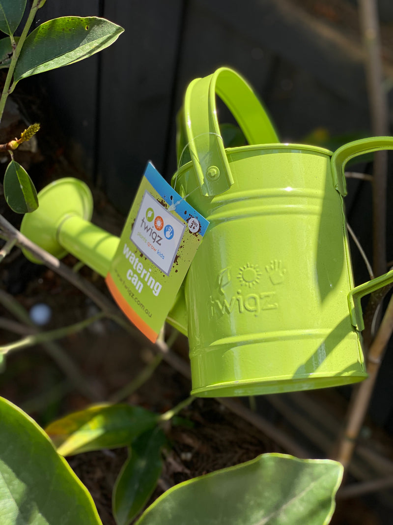 Twigz - Watering Can Green