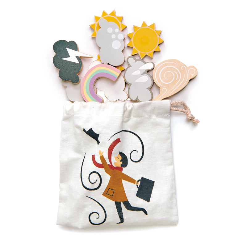 Tender Leaf Toys - Weather Station