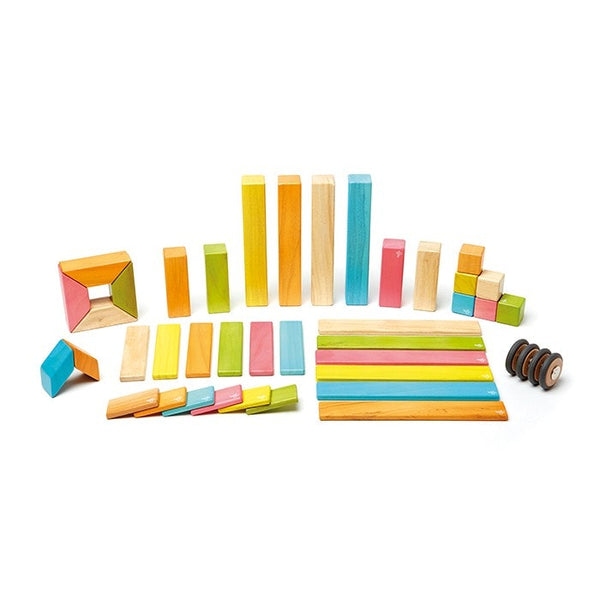 tegu-magnetic-wooden-blocks-tint-in-multi-colour-print